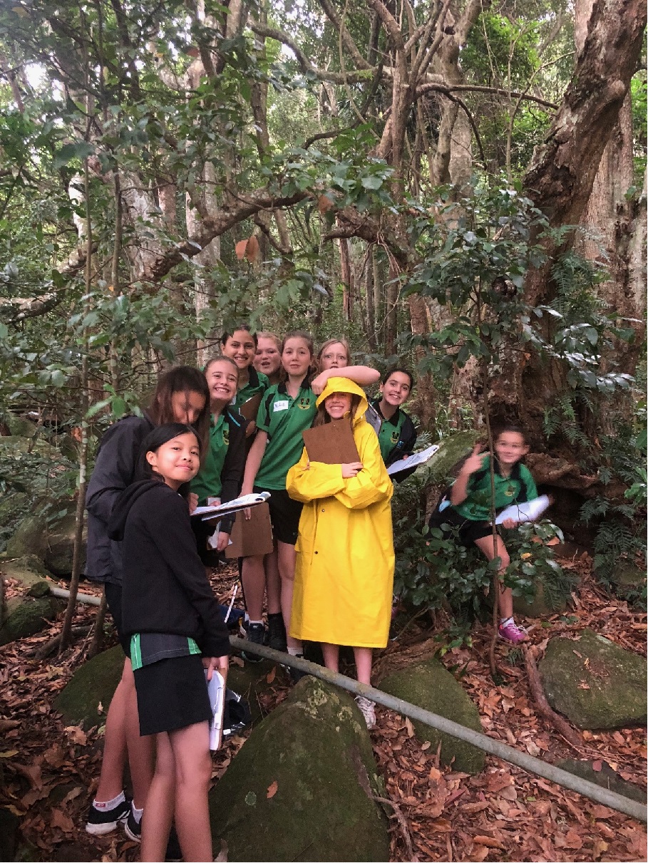 Wollongong High School of the Performing Arts