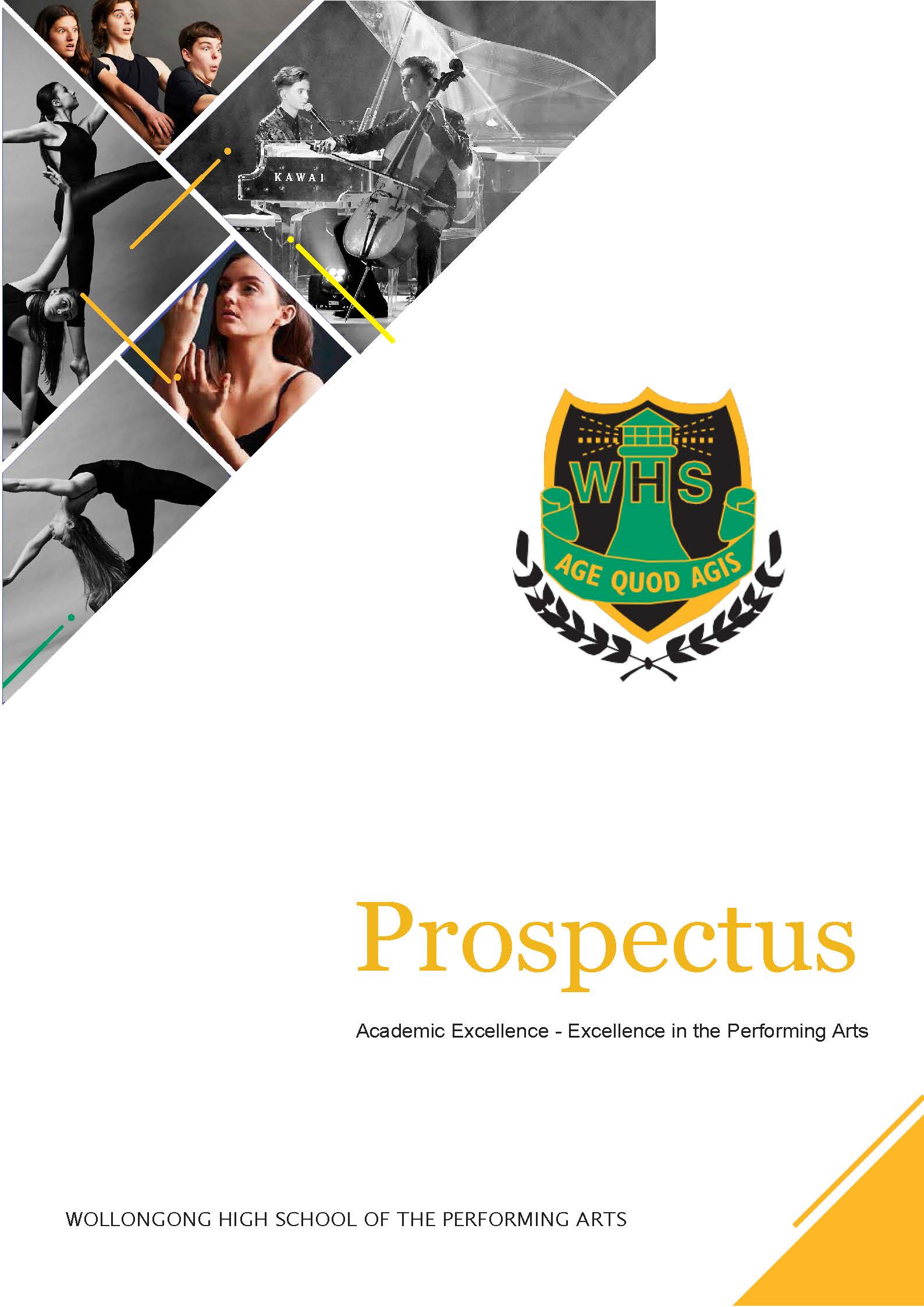 Wollongong High School of the Performing Arts